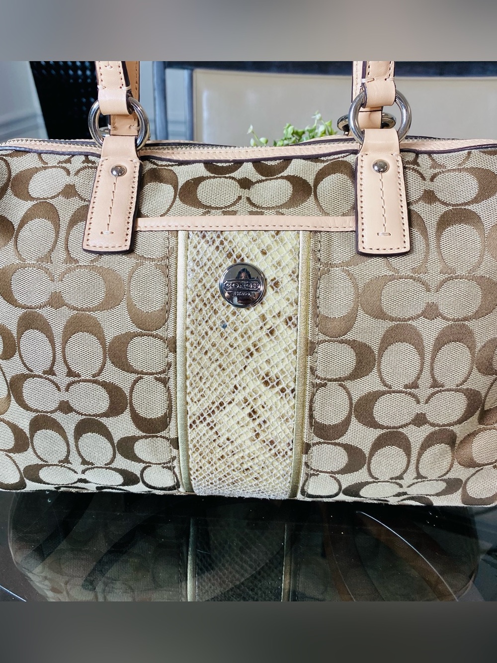 COACH Signature Khaki Jacquard Python Stripe Satchel Handbag F24884 - Picture 2 of 13